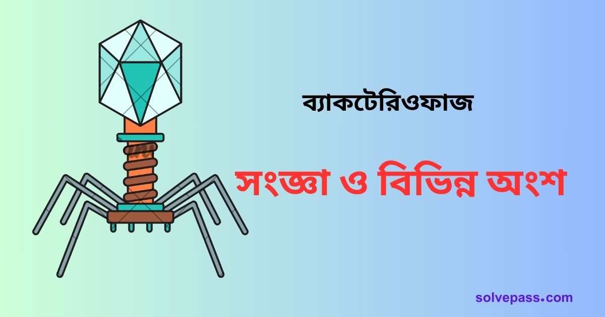 ব্যাকটেরিওফাজ কি এবং এর অংশ